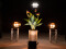 LED CBB-2 WW/CW fair light