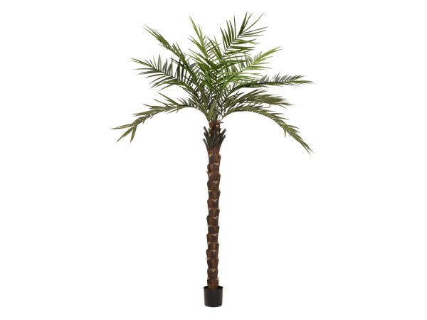 Kentia palm tree deluxe, artificial plant, 300cm