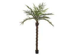 Kentia palm tree deluxe, artificial plant, 300cm