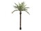Kentia palm tree deluxe, artificial plant, 300cm