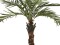 Kentia palm tree deluxe, artificial plant, 300cm