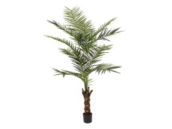 Kentia palm tree, artificial plant, 240cm