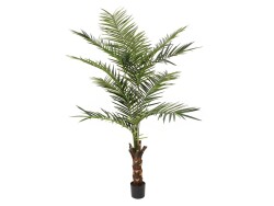 Kentia palm tree, artificial plant, 240cm