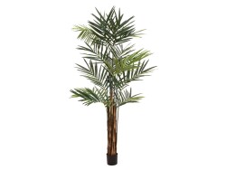 Kentia palm tree, artificial plant, 300cm