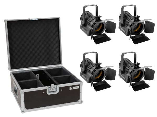 Set 4x AKKU THA-20PC TRC Theater-Spot bk + Case