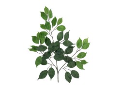Ficuszweig Benjamina, künstlich, 12x