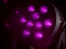LED IP PAR 9 UV Spot