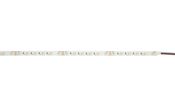 Havana Ribbon Tunable White