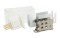 Havana Neon 1018 - Endcap White