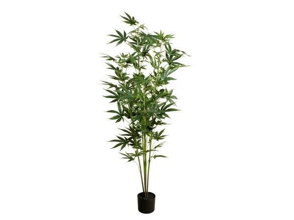Cannabis-plant,textile, 150cm