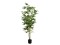 Cannabis-plant,textile, 150cm