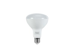LED PAR-30 RGB/WW/CW WiFi