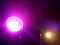 LED PARty Spot COB