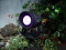 LED IP PST-40 QCL Spot