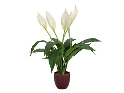 Lily Peace, artificial plant, 49cm