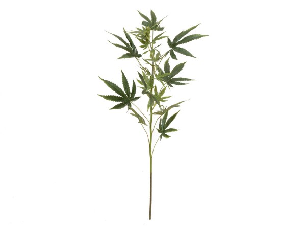 Cannabis-spra, textile, 90cm