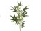 Cannabis-spra, textile, 90cm