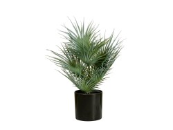 Fächerpalme, Kunstpflanze, 55cm