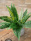 Boston Fern, artificial plant,53cm