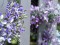 Lavender Garland, artificial, violet, 180cm
