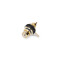 4 STAR PR2 BLK -