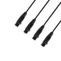 4 STAR CATBOX XF5 - Audio & DMX Multicore | Adam...