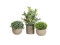 Table plants in pots, artificial plant, Set of 3