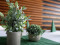Table plants in pots, artificial plant, Set of 3