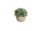 Table plants in pots, artificial plant, Set of 3