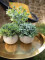 Table plants in pots, artificial plant, Set of 3
