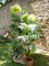 Fan palm, artificial plant, 130cm