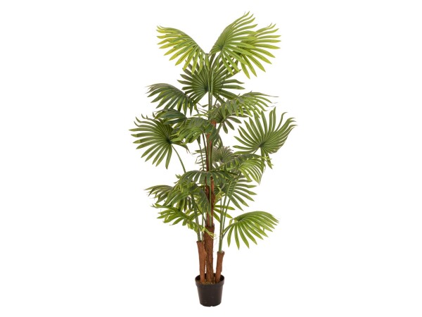 Fan palm, artificial plant, 165cm