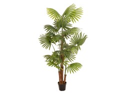 Fan palm, artificial plant, 165cm