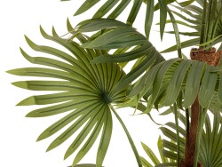 Fan palm, artificial plant, 165cm