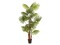 Fan palm, artificial plant, 165cm
