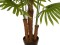 Fan palm, artificial plant, 165cm
