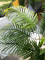 Areca palm, 2 trunks, artificial plant, 120cm