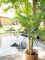 Areca palm, 2 trunks, artificial plant, 120cm