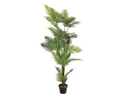 Areca Palme, Kunstpflanze, 180cm