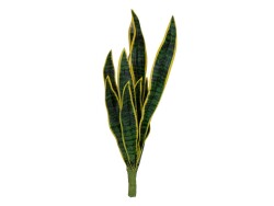 Snake Tongue (EVA), artificial, green-yellow, 60cm