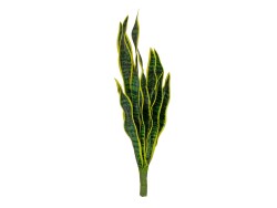 Snake Tongue (EVA), artificial, green-yellow, 60cm