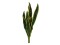 Snake Tongue (EVA), artificial, green-yellow, 60cm