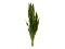 Snake Tongue (EVA), artificial, green-yellow, 60cm