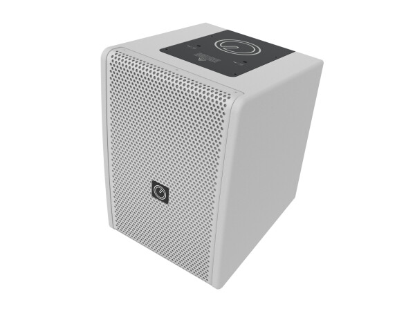 6FP100T 6.5" 2-Way Full-range Speaker white