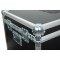Case for Mistique