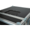 Case for Mistique