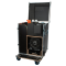 Case for Mistique