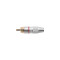 4 STAR CR2 RED -