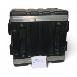 delay + amplifier in case (L526)