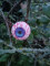 Halloween Augäpfel, 5cm Ø, 4x